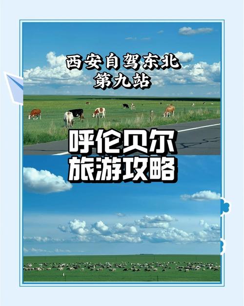 西安到呼伦贝尔大草原自驾游