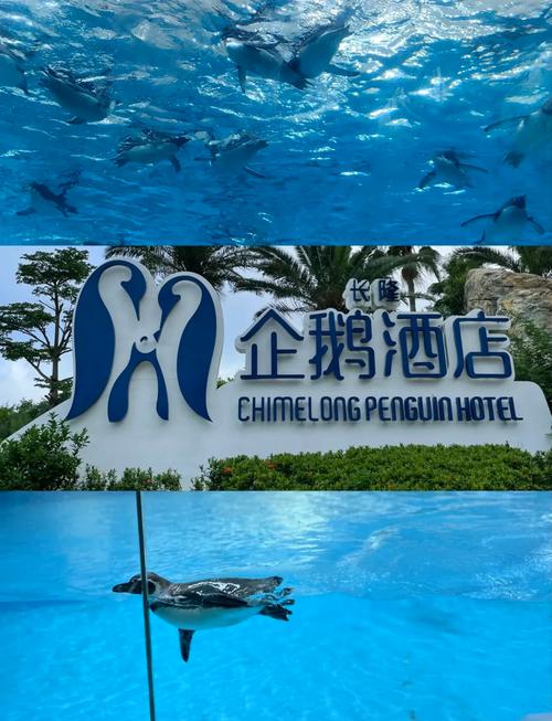 珠海长隆海洋王国企鹅酒店