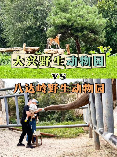 八达岭野生动物园自驾游攻略