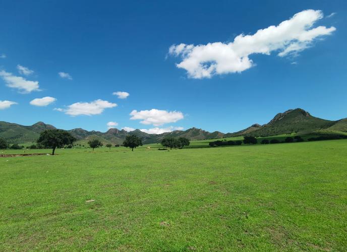 科尔沁大草原旅游攻略自驾游