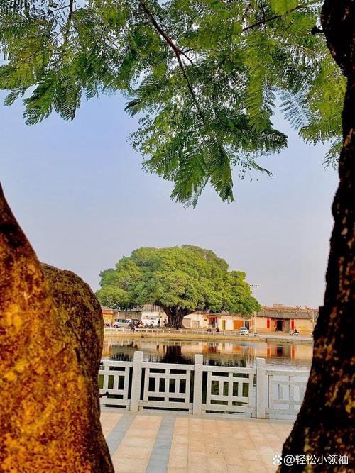 中山沙溪有什么好玩的旅游景点