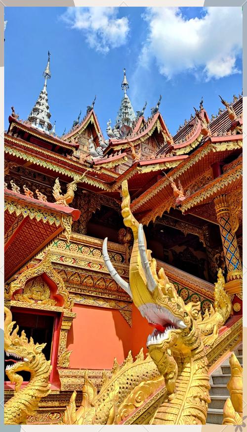 云南西双版纳好玩的景点排行榜