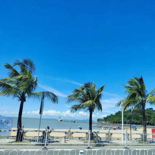 珠海旅游必去的4个景点的沙滩