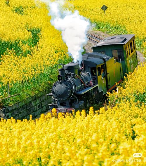 乐山嘉阳小火车自驾游攻略