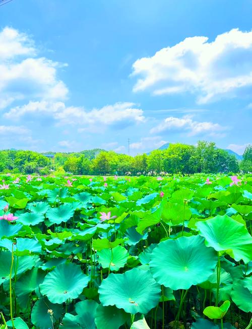 信阳郝堂村一日游都有什么景点
