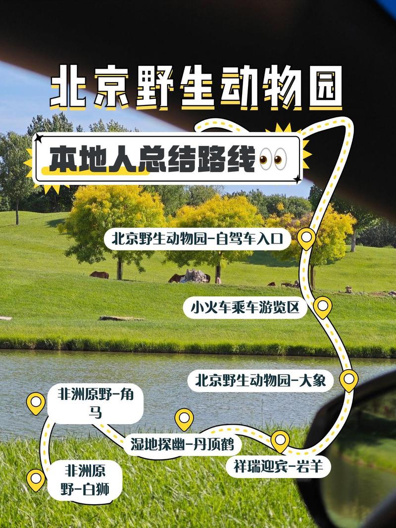 北京野生动物园自驾游攻略