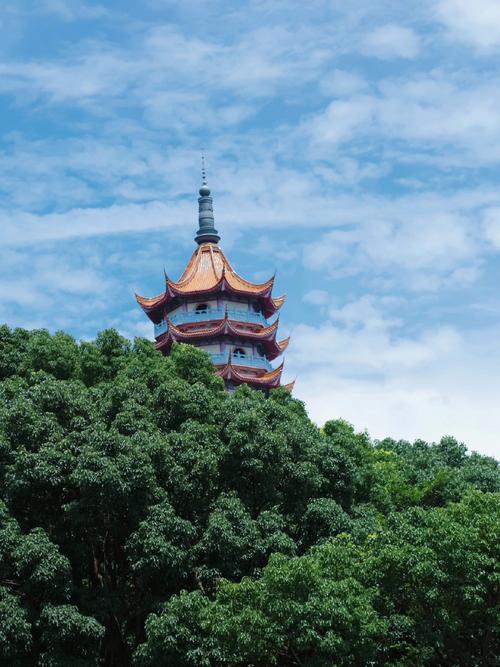 舟山有什么好玩的地方景点推荐