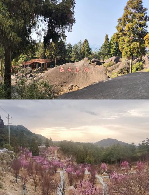 苍南附近一日游景点自驾游