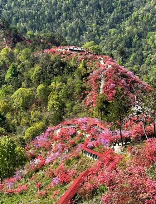 合肥周边300公里自驾游