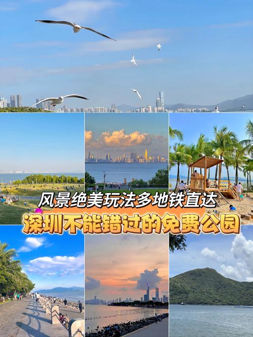 深圳那里好玩的景点免费开放