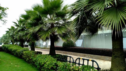 黑龙滩长岛天堂洲际酒店