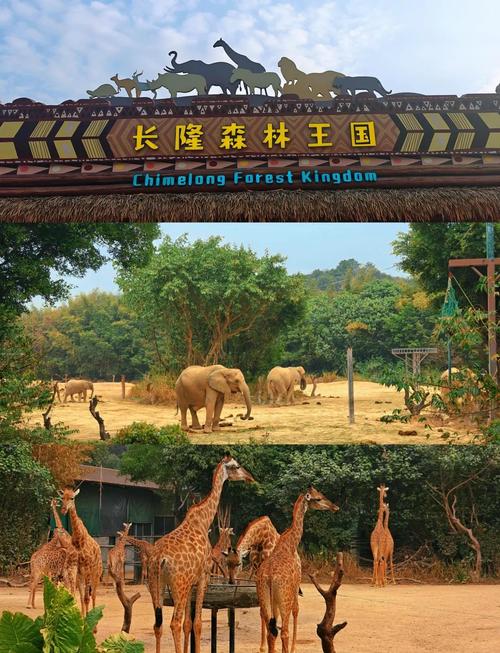 长隆野生动物园附近酒店