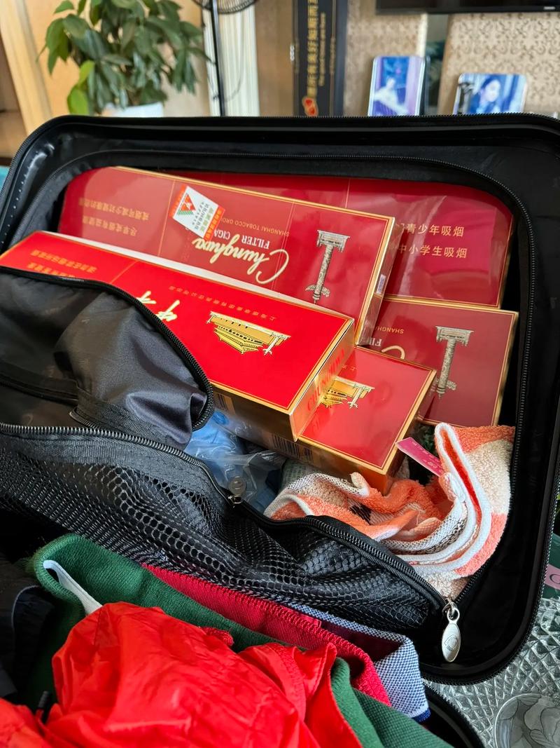 行游天下自驾游护照官方网