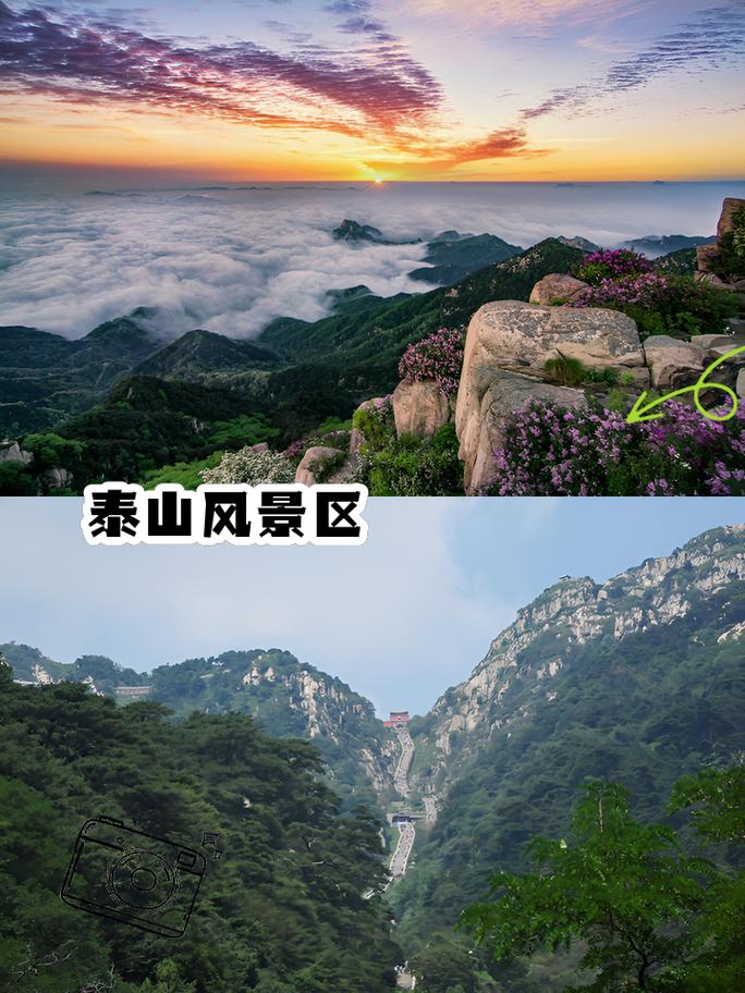 山东一日游景点大全自驾游