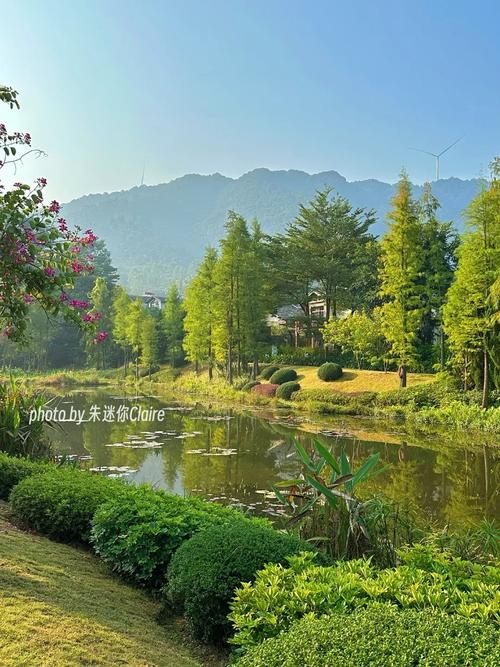 佛冈碧桂园假日温泉酒店