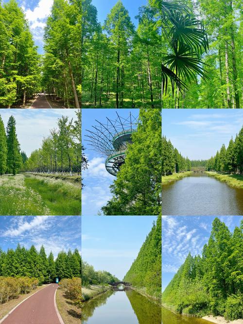 盐城周边适合自驾游的地方