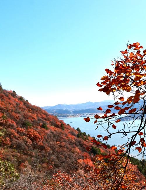 北京周边秋季自驾游好去处