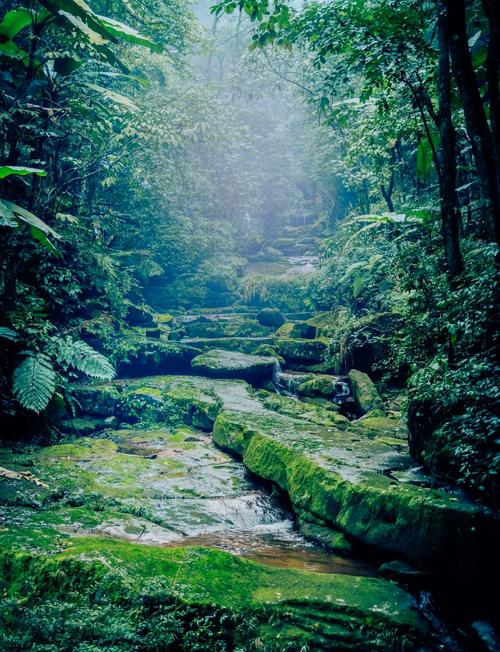 贵州遵义自驾游必去十大景点