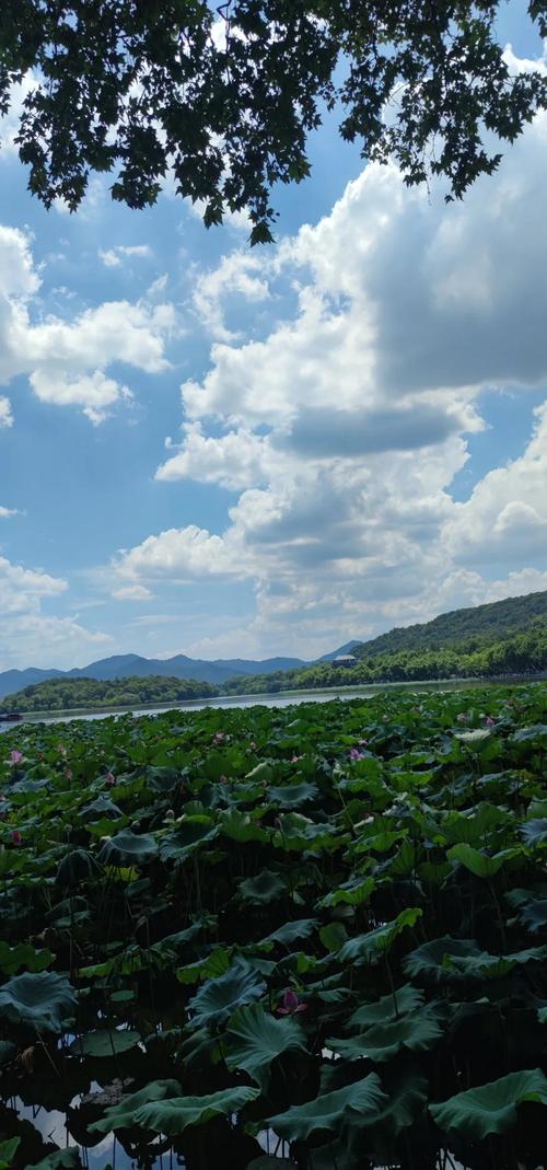 南京到重庆自驾游沿途景点
