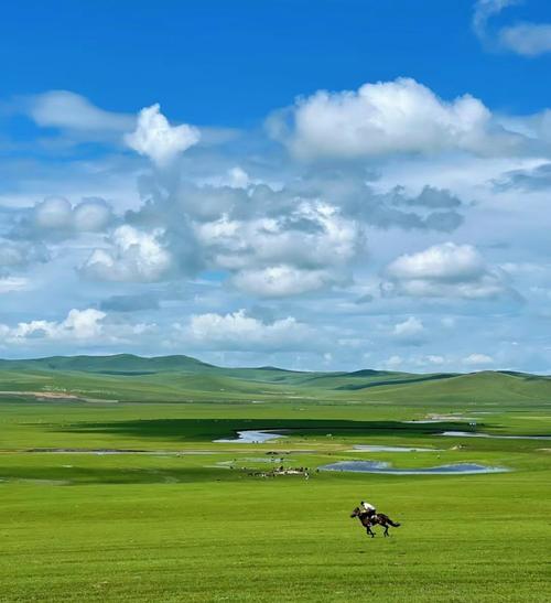 锡林郭勒大草原自驾游攻略