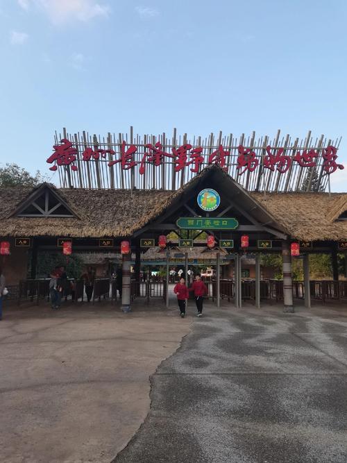 广州长隆野生动物园自驾游