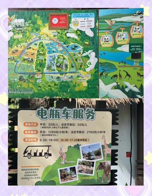 广州长隆野生动物园自驾游