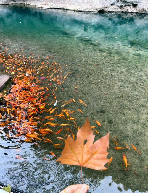 温州到福州自驾游有什么景点