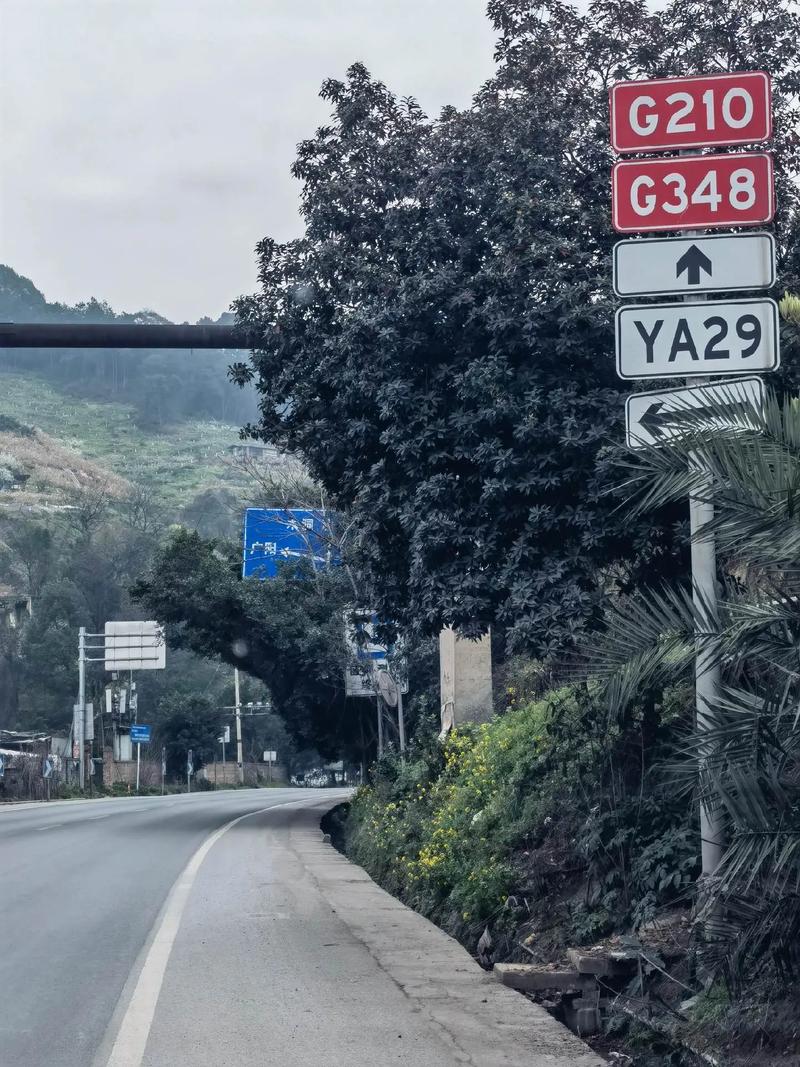 重庆自驾游10天自驾游