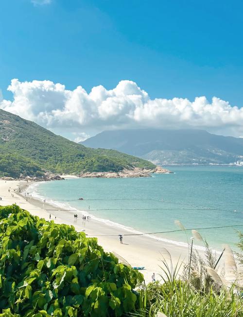 深圳免费沙滩旅游景点有哪些