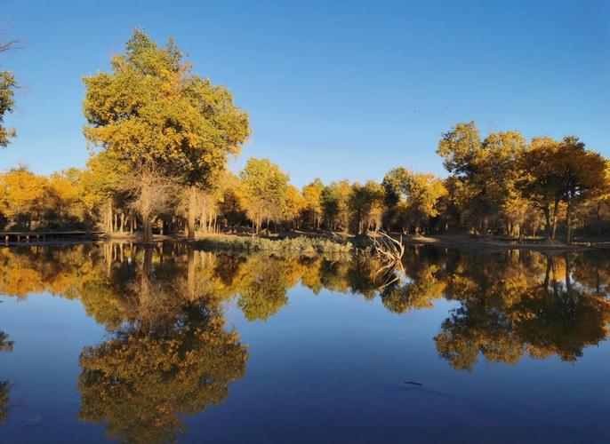 额济纳旗旅游攻略必玩的景点