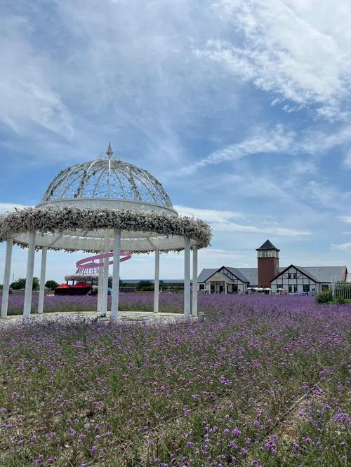 包头旅游景点大全薰衣草庄园