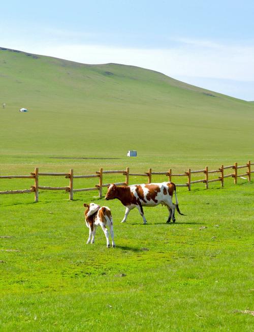 呼伦贝尔大草原都有哪些景点