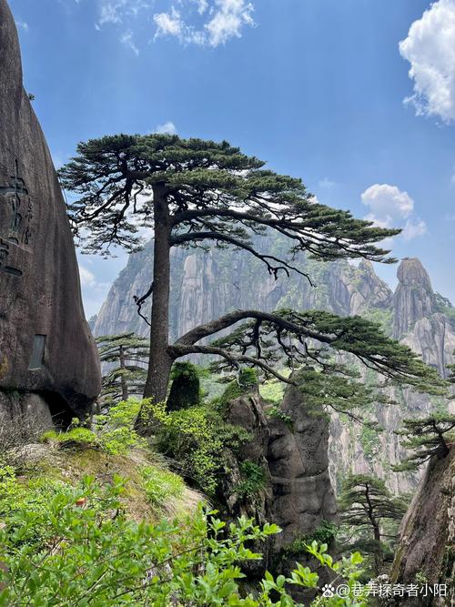 安徽的旅游景点有哪些最出名