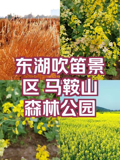 武汉马鞍山森林公园景点介绍