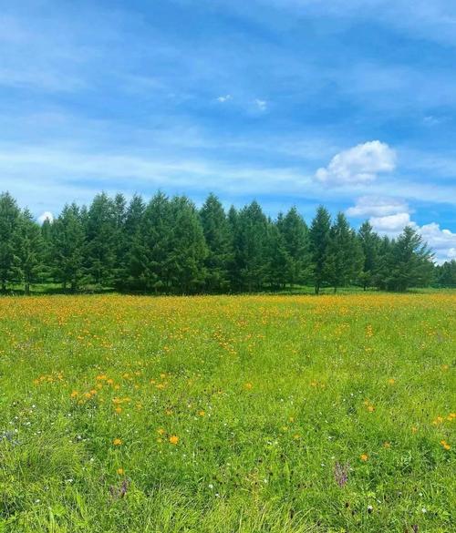 塞罕坝国家森林公园景点介绍