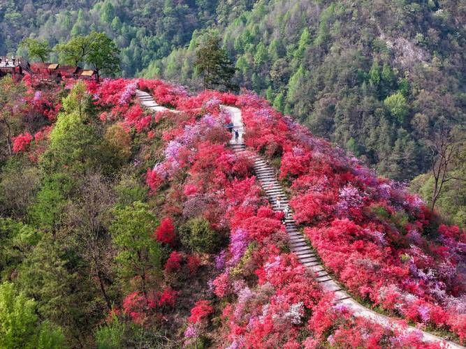 安庆岳西旅游景点有哪些景点