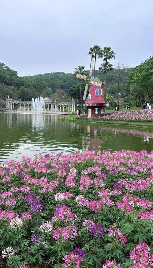 广州一日自驾游哪里好玩
