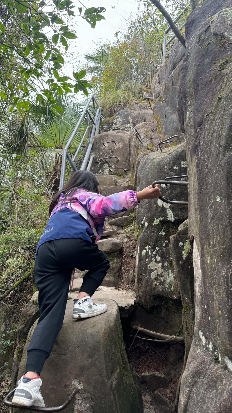圣灯山森林公园自驾游攻