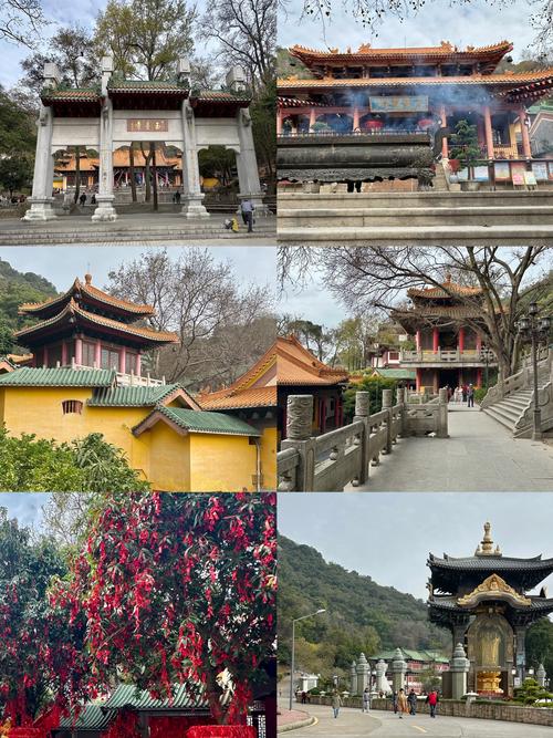 江门旅游景点哪个好玩的地方