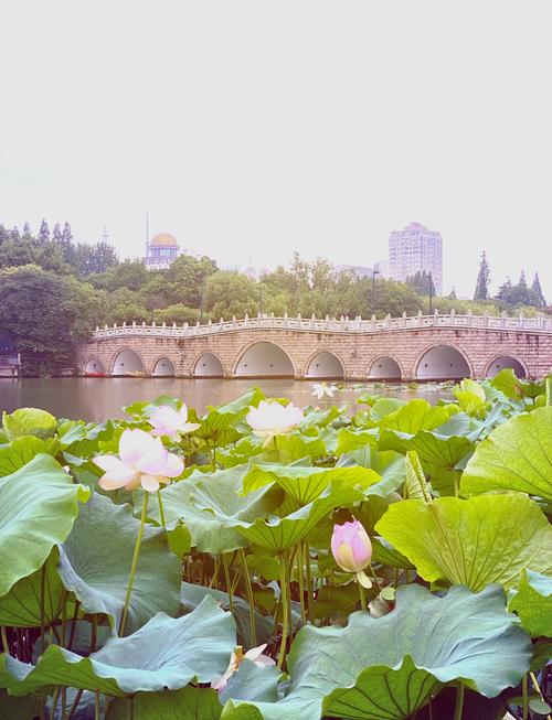 南通附近旅游景点大全排名