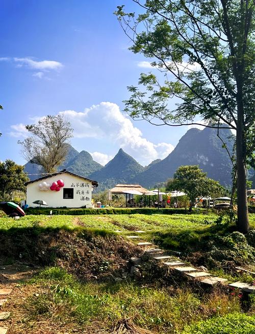 阳朔十里画廊旅游自驾游