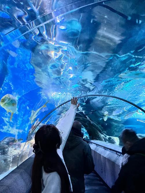 圣亚海洋世界自驾游推荐