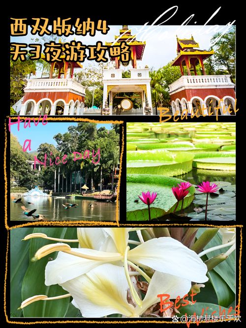 西双版纳自驾游攻略4天