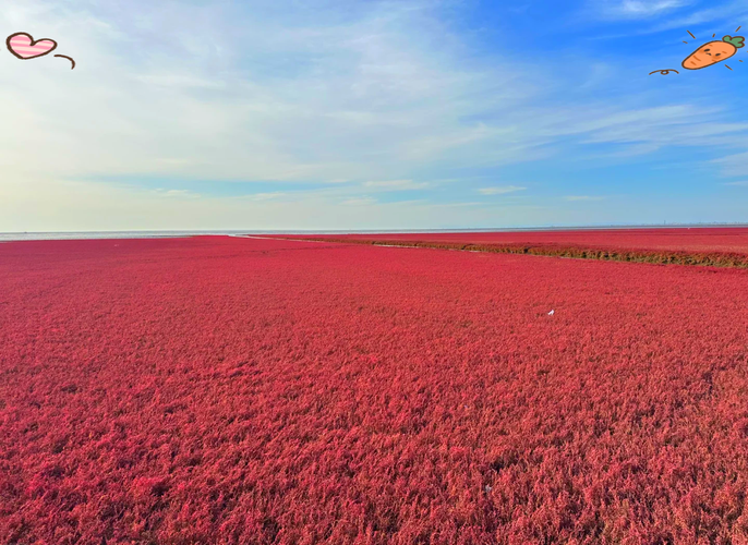 盘锦十一月份旅游景点大全