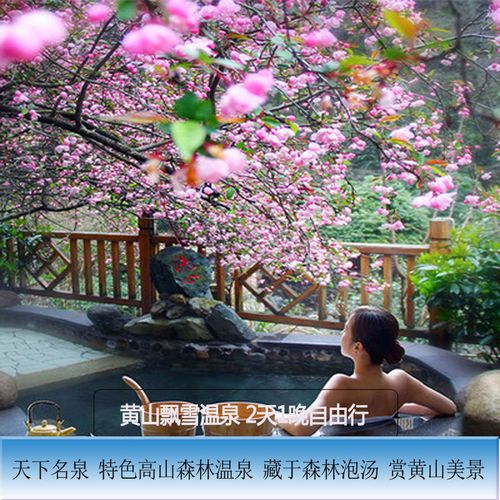 黄山飘雪温泉自驾游团购