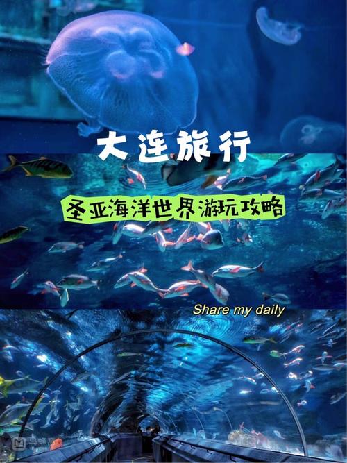 圣亚海洋世界自驾游攻略