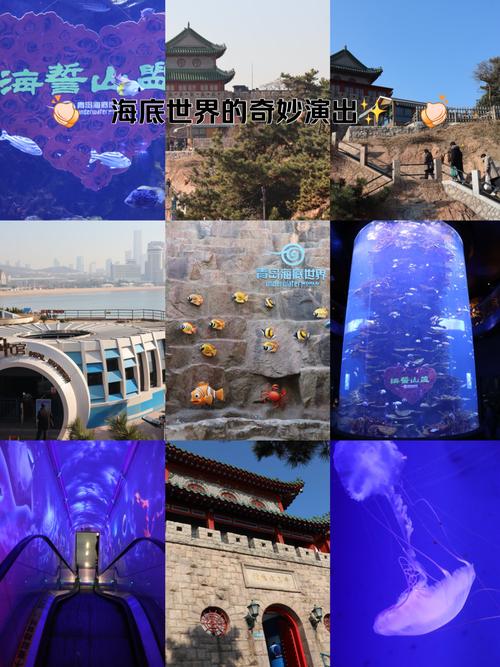 青岛海底世界景点自驾游