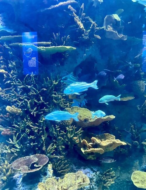 青岛海底世界景点自驾游