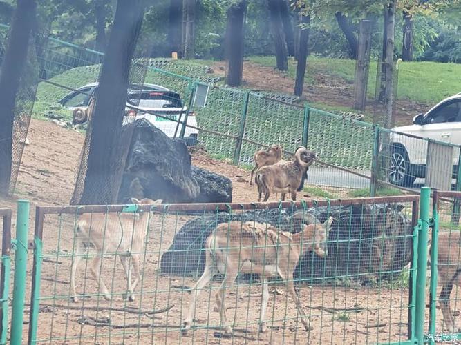 秦皇岛野生动物园酒店