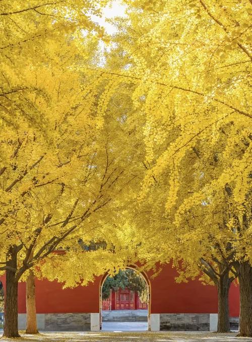 11月份北京旅游景点推荐